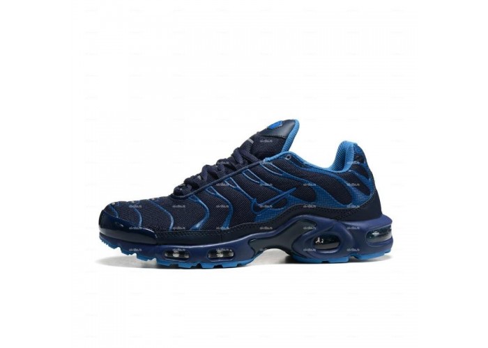 Мужские кроссовки Nike Air Max Plus (темно-синий)